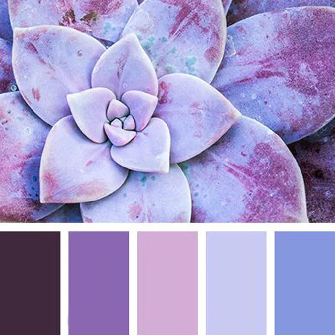 Pin by Color Wheel on Purple: Dusty Purples, Lilacs, Lavenders and
