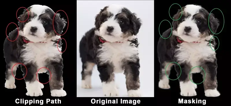 clipping path vs image masking