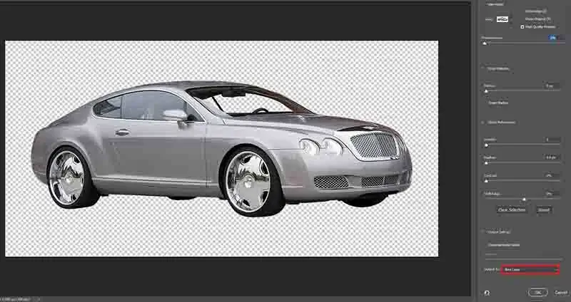 isolating the subject