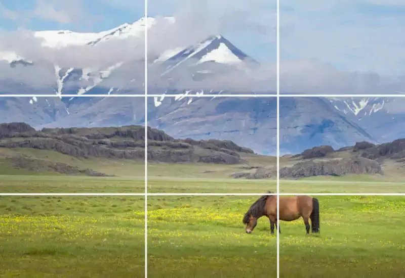 rule of thirds photography examples