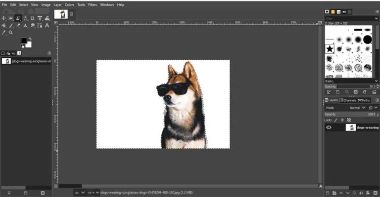 foreground select tool to remove background in gimp