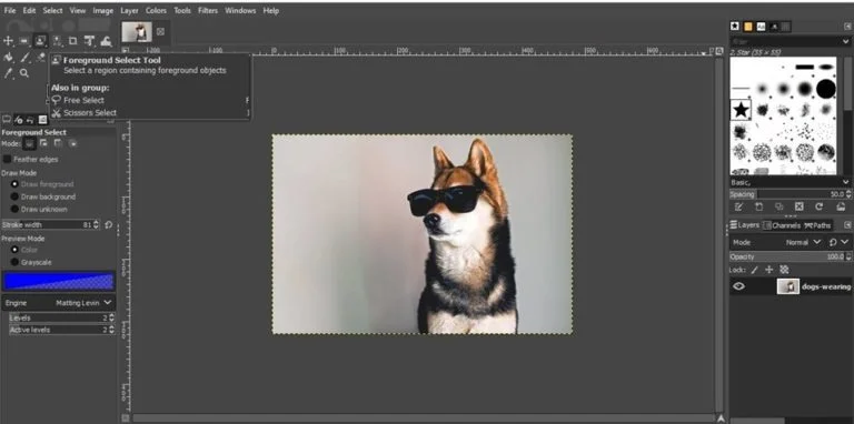 gimp fuzzy select tool