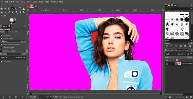 fuzzy selection tool technique to remove background in gimp