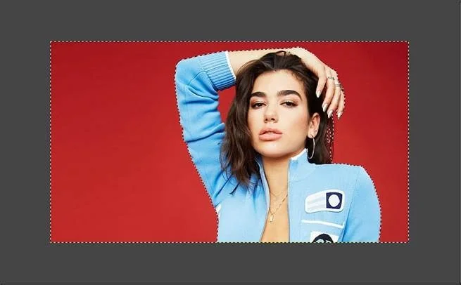 fuzzy selection tool technique to remove background in gimp