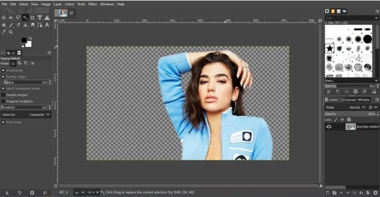 fuzzy selection tool technique to remove background in gimp