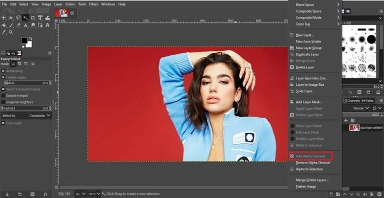 fuzzy selection tool technique to remove background in gimp