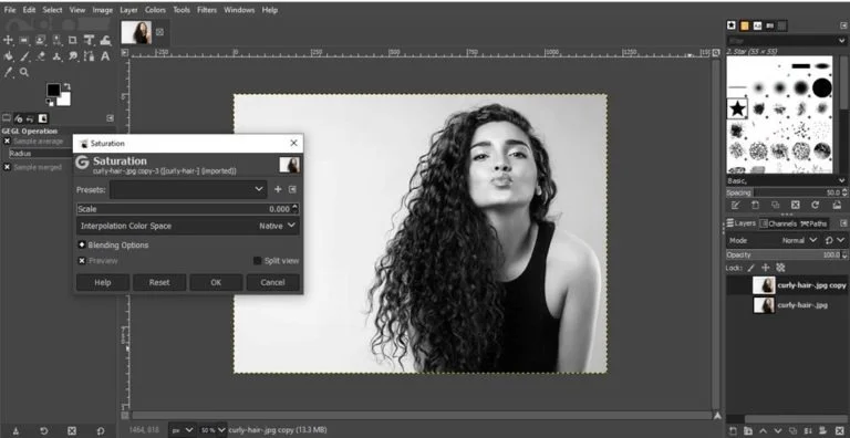 layer mask tool process to remove background in gimp