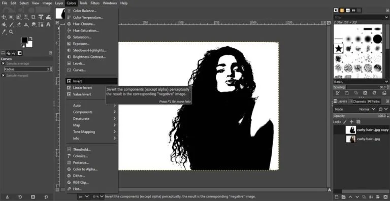 layer mask tool process to remove background in gimp