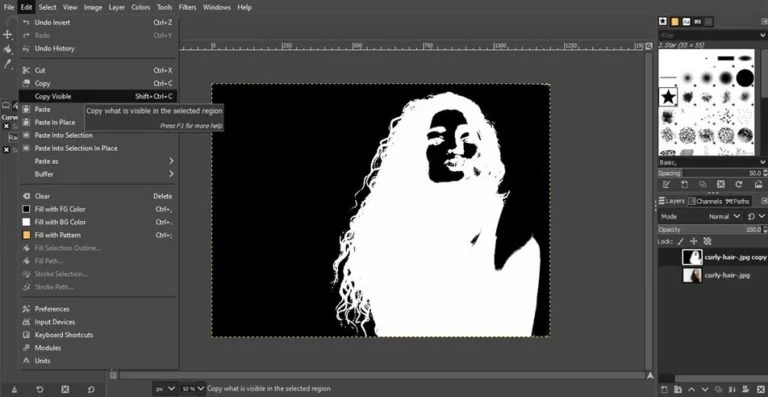 layer mask tool process to remove background in gimp