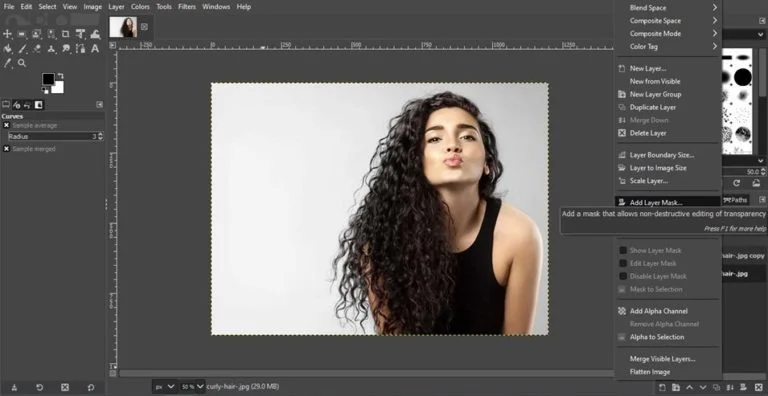 layer mask tool process to remove background in gimp
