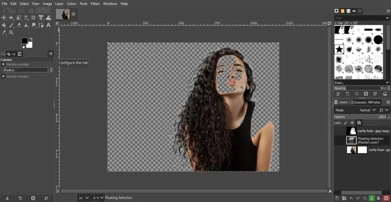 layer mask tool process to remove bg
