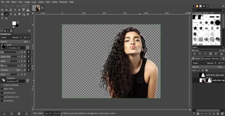 layer mask tool process to remove background in gimp