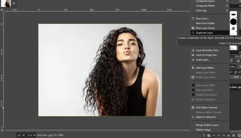 layer mask tool process to remove background in gimp