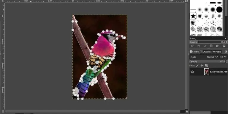 path tool technique to remove background in gimp