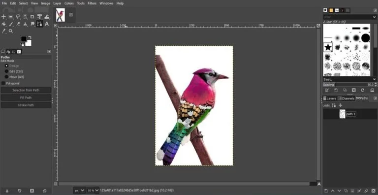 path tool technique to remove background in gimp