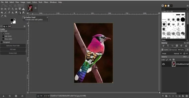 path tool technique to remove background in gimp