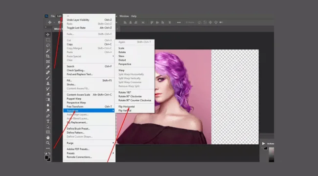 edit transform and flip horizontal setting