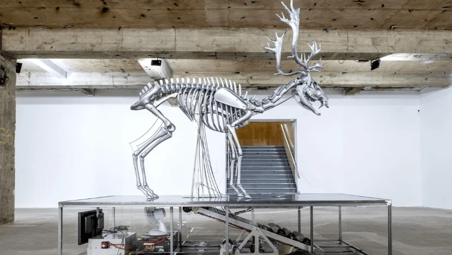 Mat Collishaw Still Life Photography