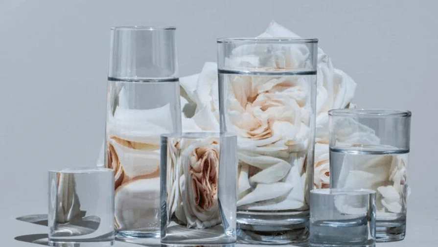 Suzanne Saroff Photography