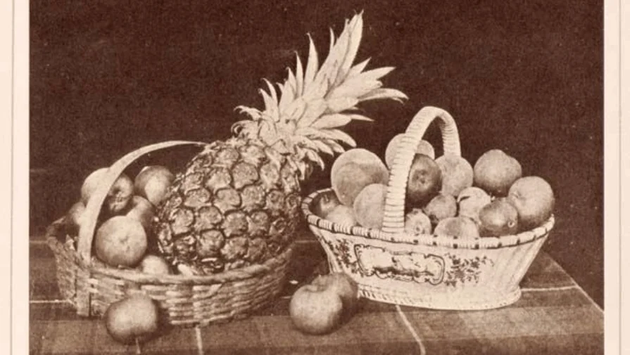 The Pencil of Nature by William Henry Fox Talbot