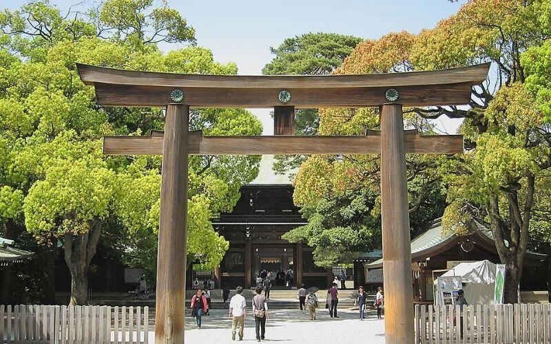Meiji Jingu Shrine, Best Spots to Take Pics