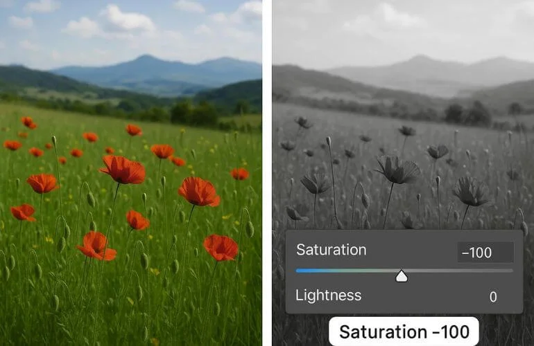 Two-panel image showing saturation adjustment from full color to black and white