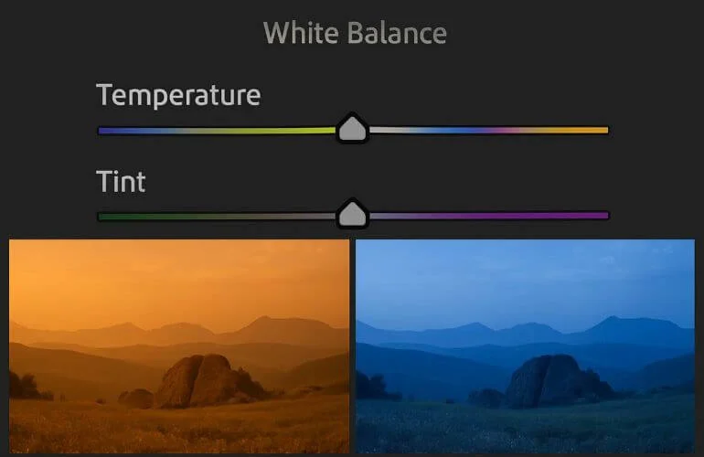 Temperature and Tint sliders for white balance correction in Lightroom.