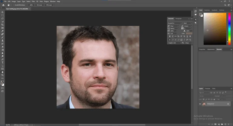 Adobe Photoshop interface, Raster graphics software