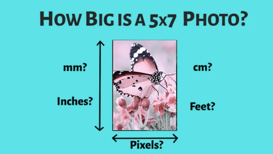 How Big Is A 5×7 Photo