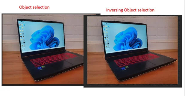 Object Selection vs. Inverse Object Selection