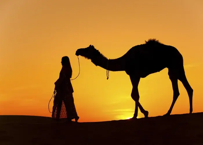 Silhouette, Desert Photography