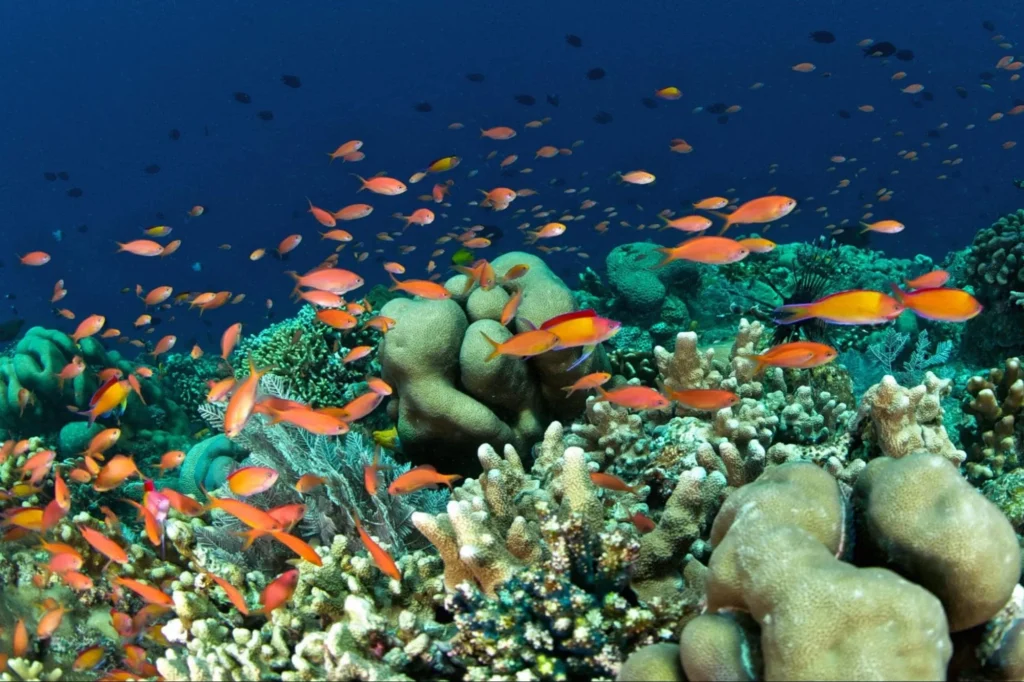 bunaken marine park indonesia, iconic places