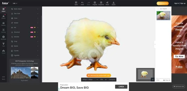 Fotor, Background Online Tools