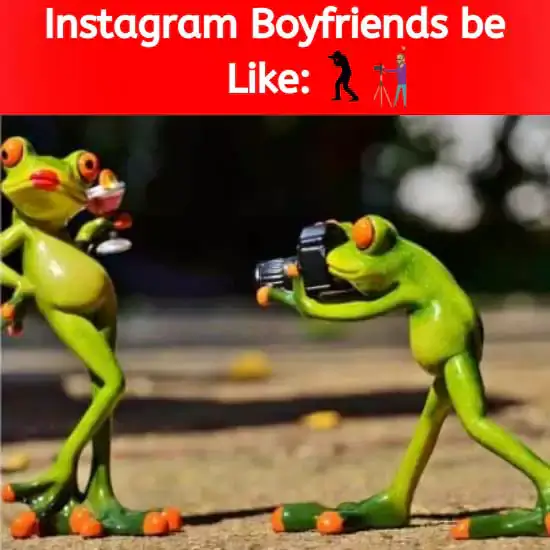 photographer memes Instagram