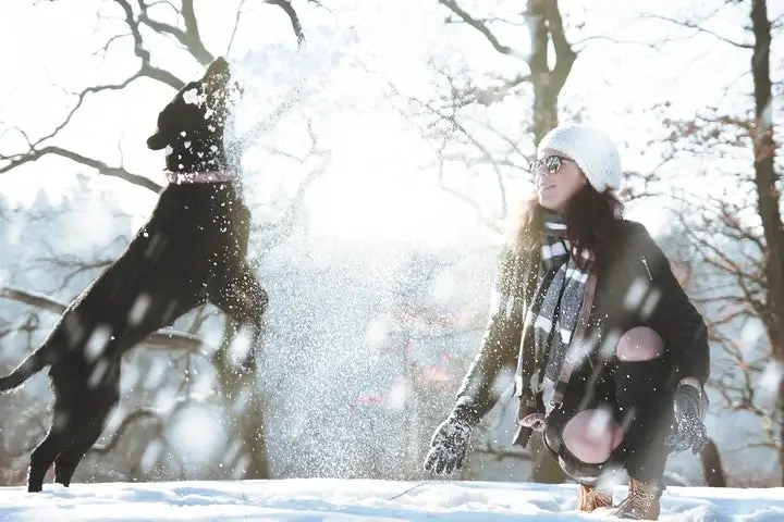 girl and dog in snow