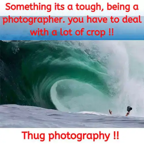 photography funny picture