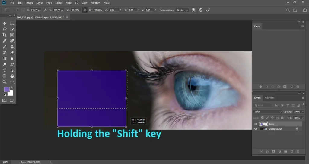 transform proportion, photoshop cc 2019 features