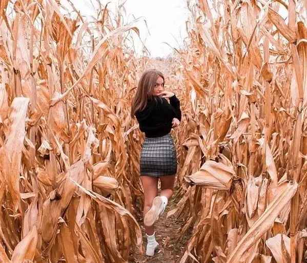 corn maze photoshoot idea