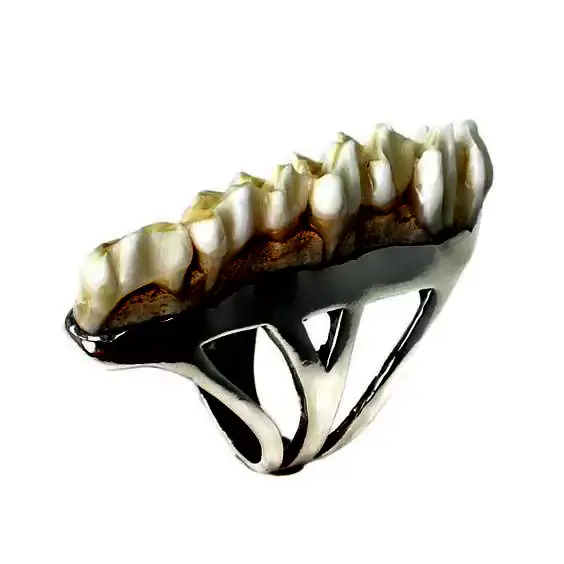 deer tooth ringddd