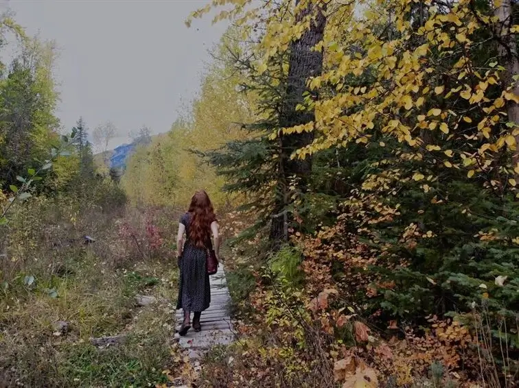 forest path photoshoot in fall