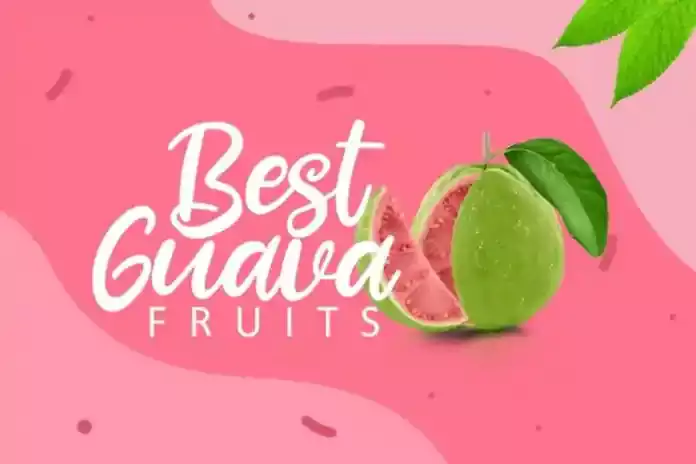 fresh guava font