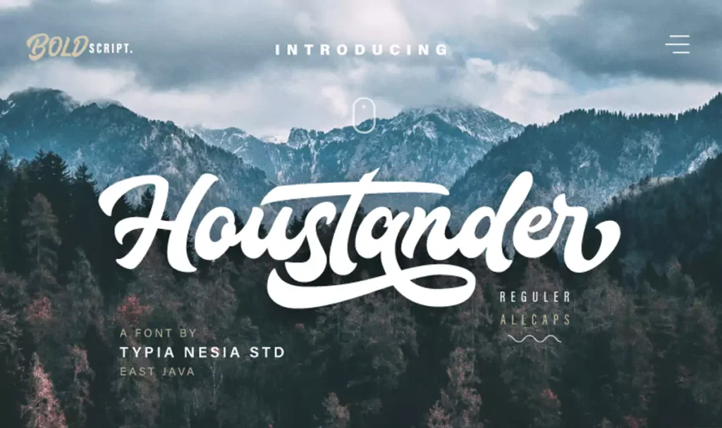 houstander font duo