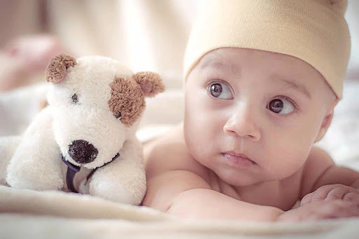  Newborn Photoshoot Ideas 