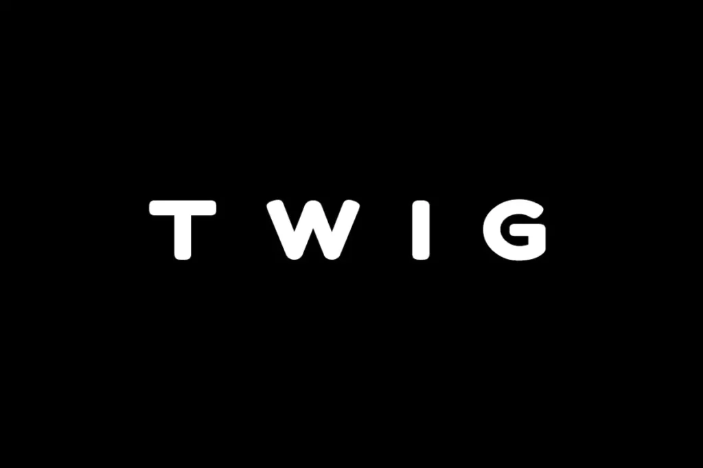 twig display logo typeface