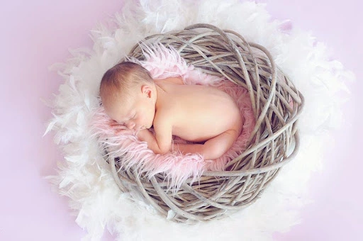 Unleash Your Creative Mind, Newborn Photoshoot Ideas