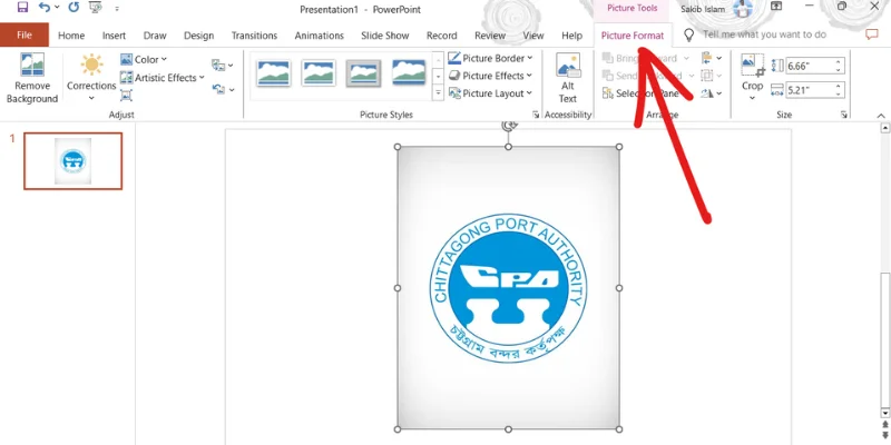 picture format tab in Microsoft PowerPoint, How to Remove Background from Logo