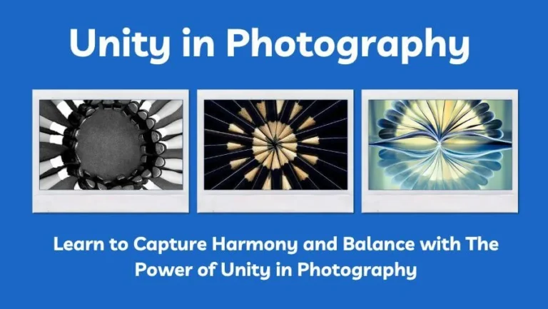 unity in photography