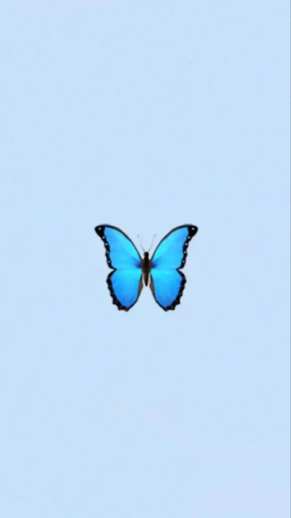 aesthetic light blue butterfly wallpaper