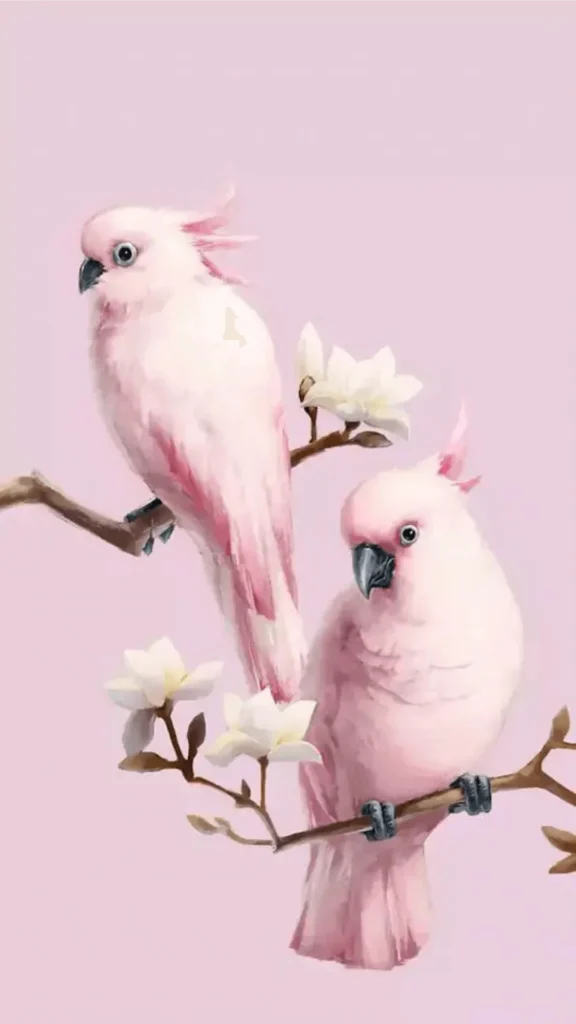 cute bird wallpaper for phone