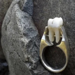 Human Tooth Ring